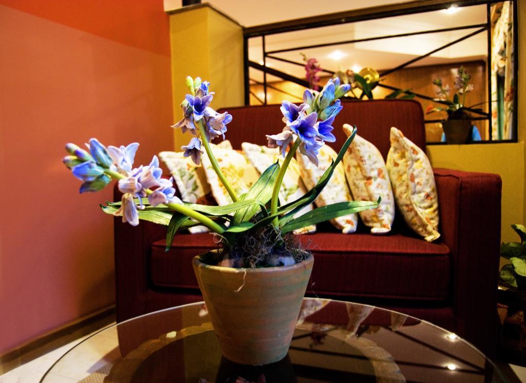Hotel Bristol Asunción Eksteriør bilde